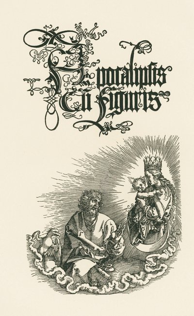 Frontespizio della seconda edizione latina del 1511 (xilografia) da Albrecht Dürer or Duerer