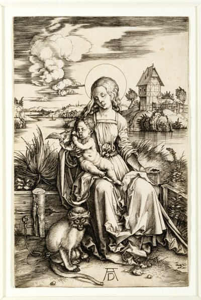 Vergine con Bambino e Scimmia da Albrecht Dürer