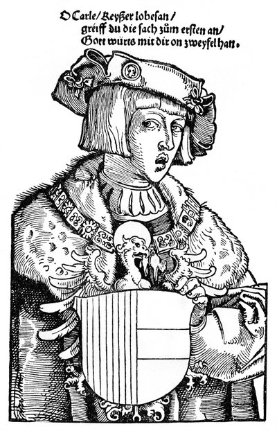Giovane Carlo V da Albrecht Dürer