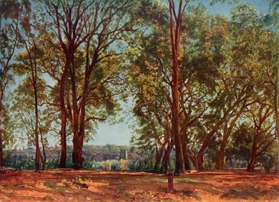 Nel Parco di Aricci, anni 1830, 1965 da Aleksandr Ivanov