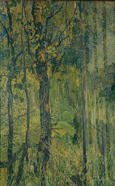 Foresta paludosa da Aleksandr Jakovlevic Golovin