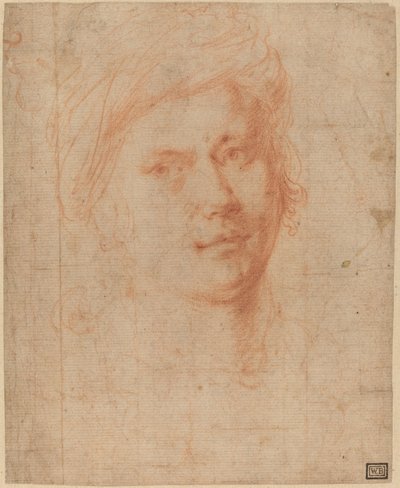 Testa di un giovane da Alessandro Allori