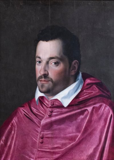 Ritratto del cardinale Ferdinando Medici da Alessandro Allori