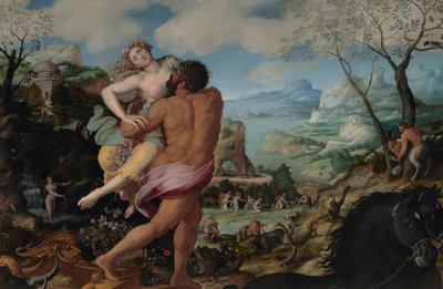 Il rapimento di Proserpina da Alessandro Allori