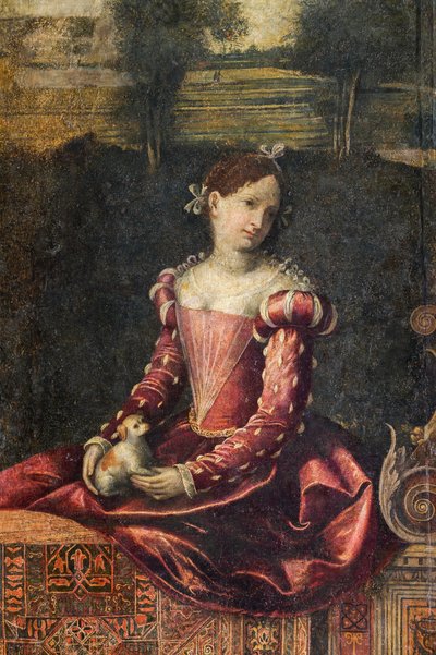 Ritratto di una nobildonna (dettaglio) da Alessandro Bonvicino Moretto