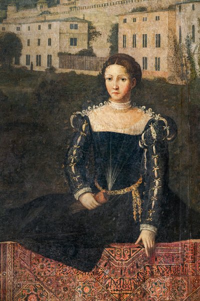 Ritratto di una nobildonna (dettaglio) da Alessandro Bonvicino Moretto