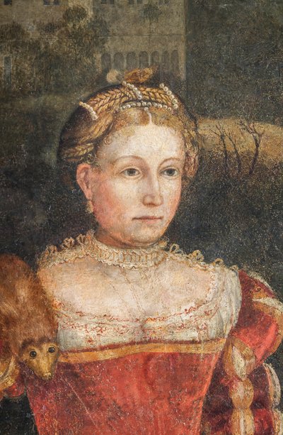Ritratto di una nobildonna (dettaglio) da Alessandro Bonvicino Moretto
