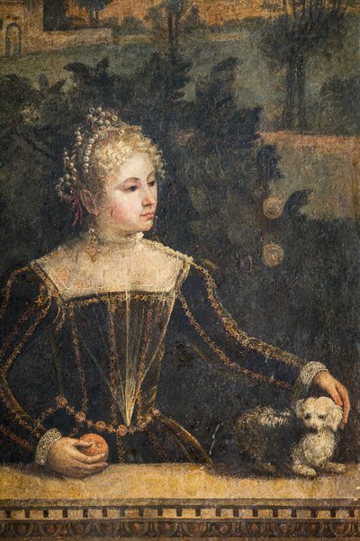Ritratto di una nobildonna (dettaglio) da Alessandro Bonvicino Moretto