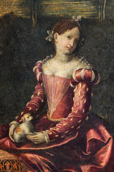 Ritratto di una nobildonna (dettaglio) da Alessandro Bonvicino Moretto