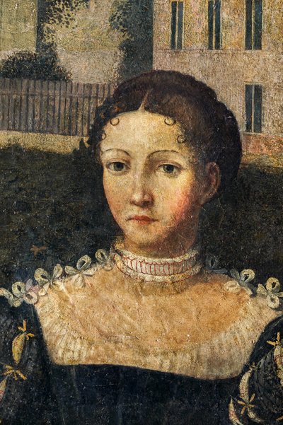 Ritratto di una nobildonna (dettaglio) da Alessandro Bonvicino Moretto