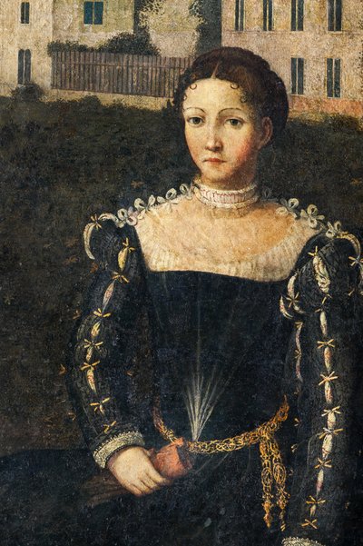 Ritratto di una nobildonna (dettaglio) da Alessandro Bonvicino Moretto