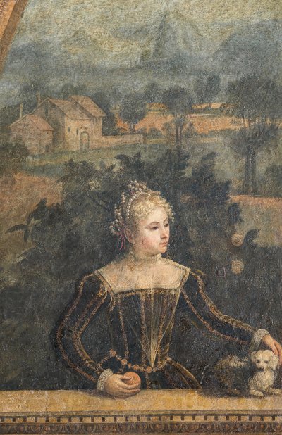 Ritratto di una nobildonna (dettaglio) da Alessandro Bonvicino Moretto
