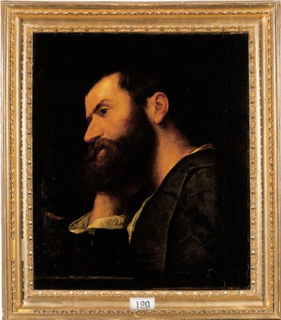 Ritratto del poeta Pietro Aretino, busto, con la testa appoggiata sulla mano destra su un ripiano con una pianta da Alessandro Bonvicino Moretto