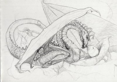 Creatura fantastica: un drago che protegge il suo uovo. Schizzo a matita di Alessandro Lonati da Alessandro Lonati
