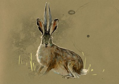 Mostri e creature fantastiche, criptozoologia: rappresentazione di un Jackalope, animale leggendario metà lepre metà antilope - Disegno di Alessandro Lonati, 2012 da Alessandro Lonati