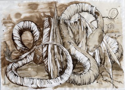 Illustrazione di un animale fantastico e leggendario: drago con un corpo lungo come un serpente da Alessandro Lonati