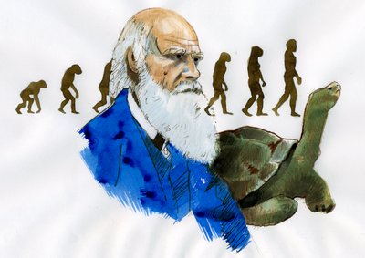 Ritratto di Charles Darwin (Illustrazione) da Alessandro Lonati