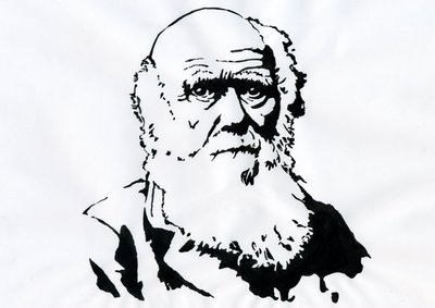 Ritratto di Charles Darwin da Alessandro Lonati