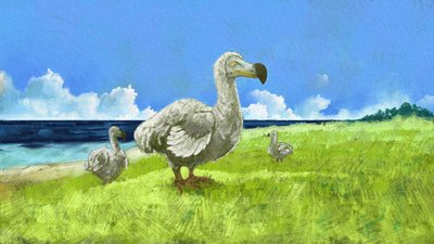 Rappresentazione del dodo estinto (illustrazione) da Alessandro Lonati