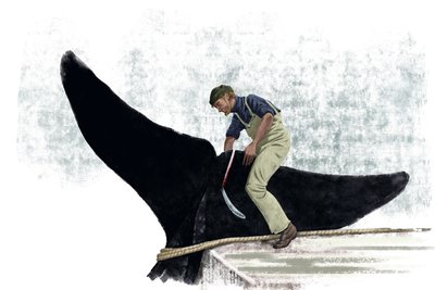Barca baleniera che taglia la coda di una balena da Alessandro Lonati