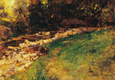 Il torrente da Alessandro Lupo