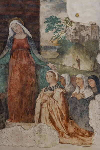 Nostra Signora della Misericordia e Beato Isnardo da Chiampo (dettaglio) da Alessandro Verla