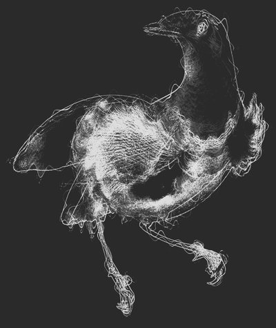 Uccello III da Alex Caminker