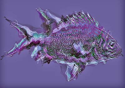 Pesce nell
