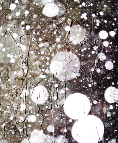 Neve da Alex Caminker