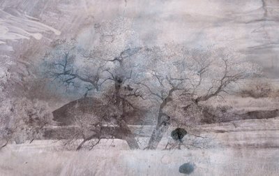 Nebbia Blu, 2019 da Alex Caminker