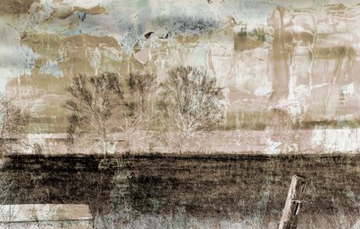 Nebbia marrone da Alex Caminker