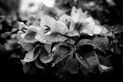 Cluster, 2019 da Alex Caminker