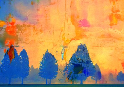 Fuoco Freddo, 2019 da Alex Caminker