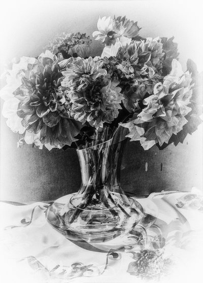 bouquet di cristallo da Alex Caminker