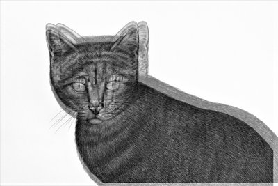 Gatto elettrico da Alex Caminker