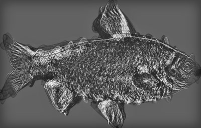 Pesce in Grigio, 2020 da Alex Caminker