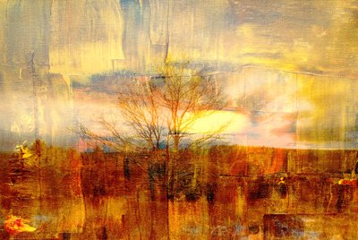 Nebbia dorata, 2019 da Alex Caminker