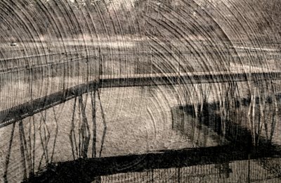 invisibile da Alex Caminker