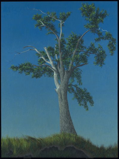 Albero di olmo a Horton Landing da Alex Colville