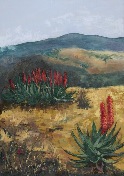 Red Aloes Desert Hills da Alex Cornell