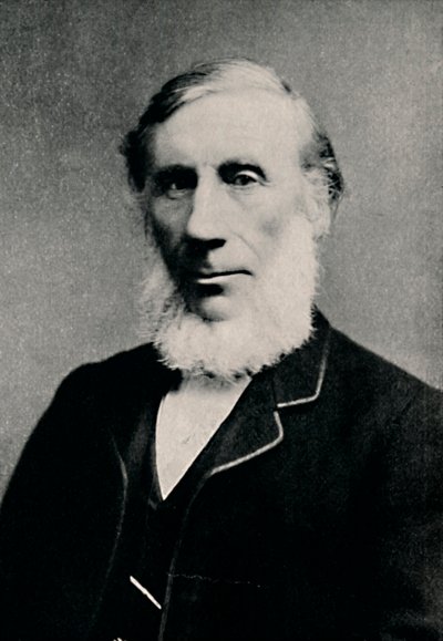 Professor John Tyndall, c1880 da Alexander Bassano