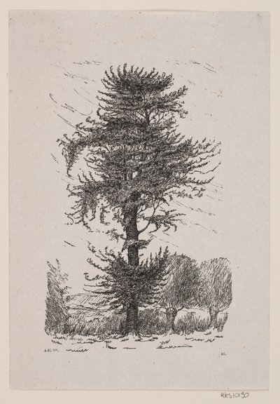 Quercia presso Guldberg da Alexander Blom