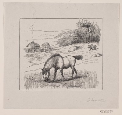 Nordbakke da Alexander Blom