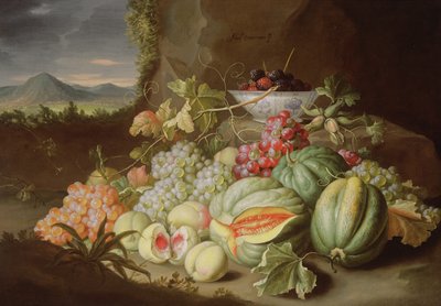 Natura morta con frutta da Alexander Coosemans