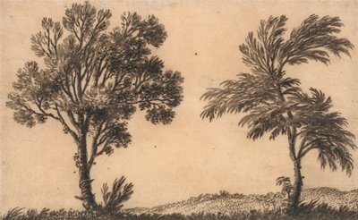 Studio di due salici da Alexander Cozens