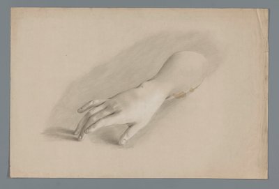 Modello in gesso di una mano da Alexander Cranendoncq