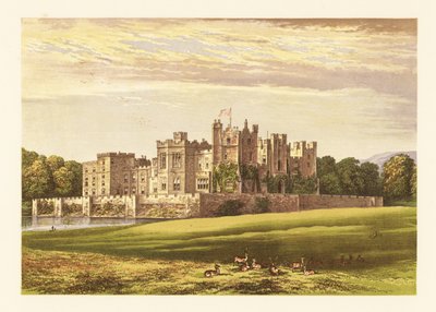 Castello di Raby, Durham, Inghilterra da Alexander Francis (after) Lydon