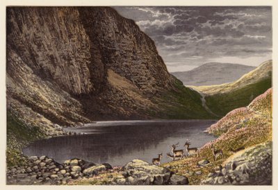 Paesaggio del Loch Scozzese: Il Dhu Loch, Loch-na-gar da Alexander Francis (after) Lydon