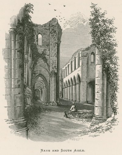 Abbazia di Fountains, navata e navata sud da Alexander Francis Lydon