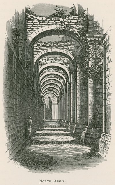 Abbazia di Fountains, navata nord da Alexander Francis Lydon